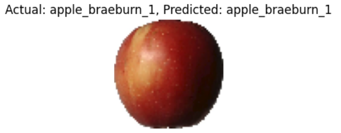 predicted-apple.png